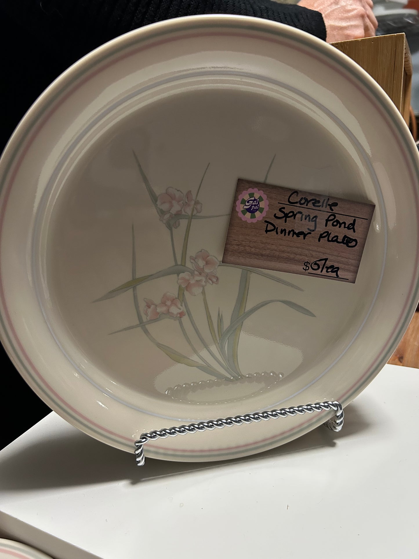 CORELLE SPRING POND DINNER PLATES